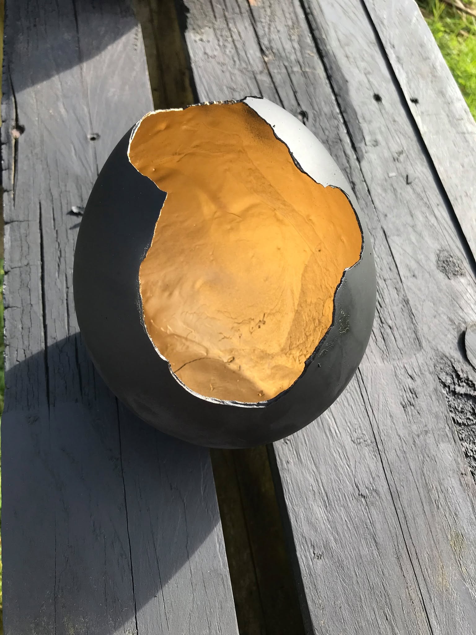 Dragon Egg by Lachlan