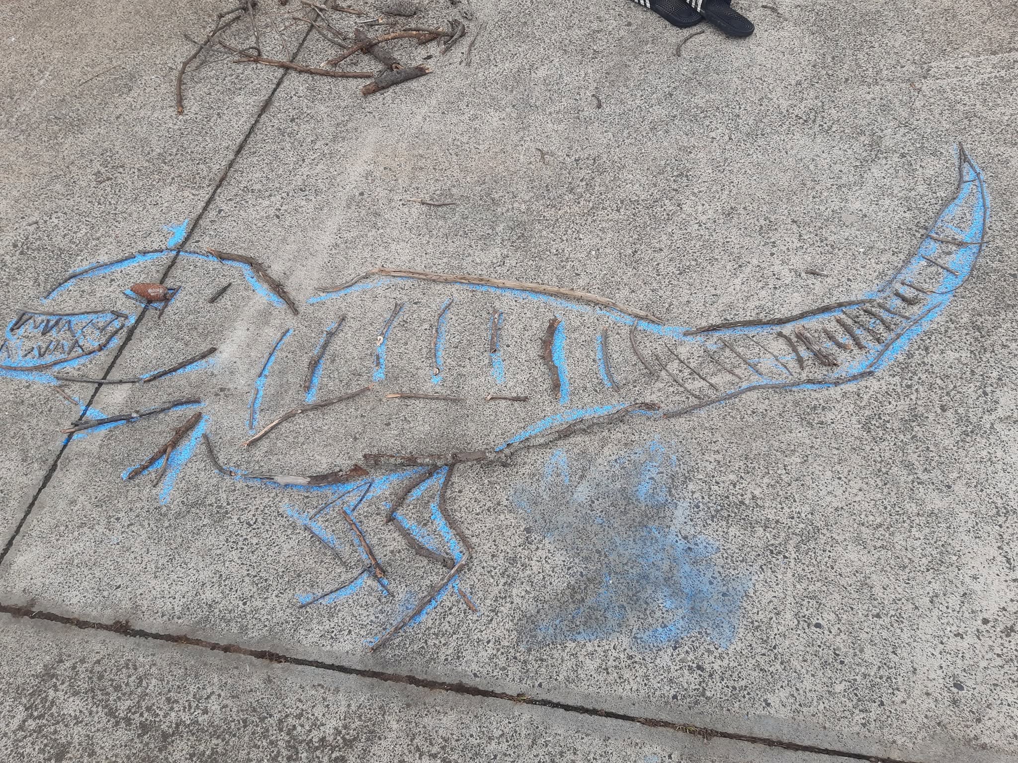 Rawrr